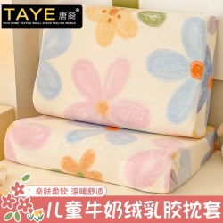 唐裔 牛奶绒乳胶枕套一对装法兰绒儿童枕头套单只装40x60记忆枕内胆套
