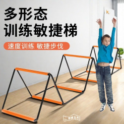 武行彬 蝴蝶敏捷梯体能训练器材儿童跳格子绳梯室内足球篮球步伐训练软梯