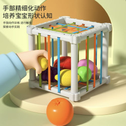 婴幼儿玩具0-6-12个月宝宝彩虹水果塞塞乐益智趣味玩具早教抓握