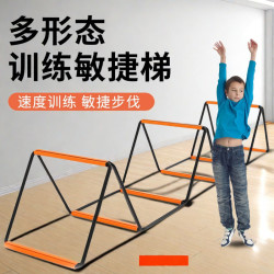 武行彬 多功能蝴蝶敏捷梯折叠梯跳格子儿童篮球体能足球步伐绳梯训练器材