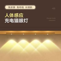 灯条LED灯感应灯灯具衣鞋柜酒柜充电灯智能感应人来即亮人走即灭