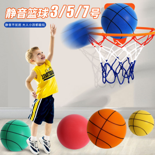 武行彬 7号静音篮球框投篮架儿童球类玩具室内无声静音球训练篮球拍拍球