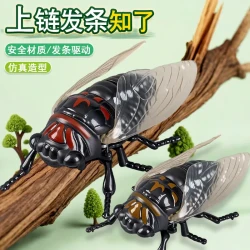 创意知了猴可爬行蝉叽喳虫会动发条玩具好玩昆虫模型上链格斗甲虫