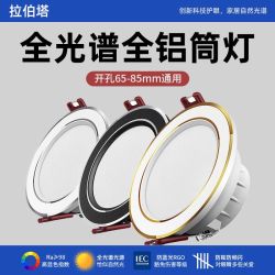 拉伯塔 筒灯LED天花灯嵌入式家用射灯小灯7.5客厅照明孔灯简灯筒灯7.5孔