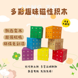 木质磁性开发大脑正方体我的世界磁力片六面磁吸数字方块积木教具