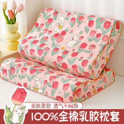 秋思 纯棉儿童乳胶枕套30X50小清新40x60单只全棉枕头套枕芯内胆套成人