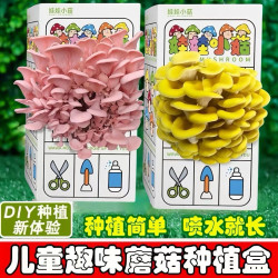 蘑菇种植菌包平菇儿童植物观察盒亲子科学小实验幼儿园种蘑菇玩具