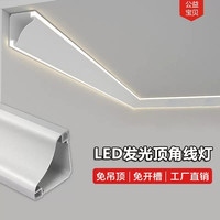 业毅客厅灯带工厂双眼皮灯家用灯条长条发光条形灯具智能LED灯