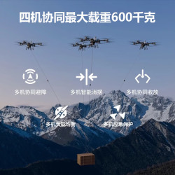 大疆 无人机 FlyCart200 旗舰空吊套装 200公斤载重