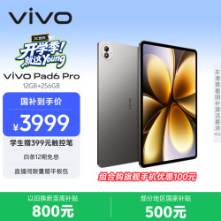 vivo Pad6 Pro 13.2英寸 平板电脑（第五代骁龙8 至尊版、12GB、256GB、WiFi版、自在灰）