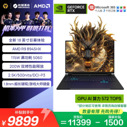 机械革命 苍龙18pro-1202C9S125 R9-8945HX RTX5060 黑色 16GB+1TB 游戏本