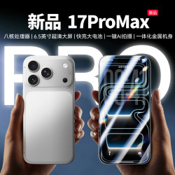 魅紫 X17ProMax 超薄大屏 银白色 512GB 智能手机