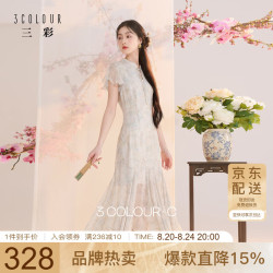 三彩 2026夏季新款新中式连衣裙雪纺绣花中长裙C
