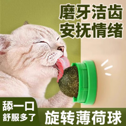 HELLOJOY 猫玩具薄荷球猫咪磨牙棒自嗨解闷幼猫小猫逗猫球 30克