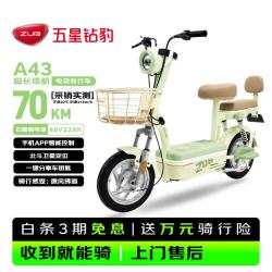 五星钻豹 长续航 电动自行车