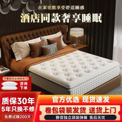 骁智 独立弹簧 床垫  22CM舒适款 180*200cm 偏软 22CM
