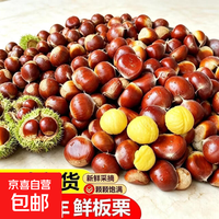 京东 新鲜云南板栗现摘现发超甜生吃板栗蔬菜生鲜 云南新板栗 1斤