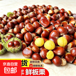 京东 新鲜云南板栗现摘现发超甜生吃板栗蔬菜生鲜 云南新板栗 1斤