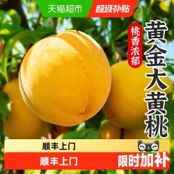 孙悟空 正宗陕西黄桃现摘当季新鲜水果鲜果整箱高山脆桃子4斤