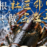 小青龙（可和其他套餐同时享用）