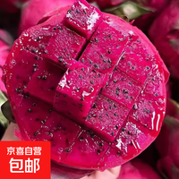 京喜加 广西金都一号红心红肉火龙果现摘红肉多规格可选生鲜时令水果 6粒装 单果120g+