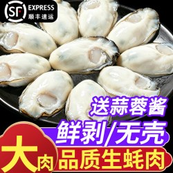 苏渔海岸 生蚝肉去壳现剥新鲜冷冻海蛎子牡蛎肉冷冻大号火锅海鲜蚝仔纯肉