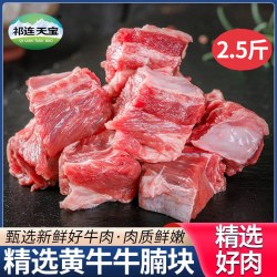 祁连天宝 新鲜牛腩块1250g整切牛腩肉火锅食材家庭烤肉红烧牛腩牛肉块