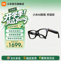 小米 AI眼镜 小爱同学拍摄眼镜 无线智能眼镜 蓝牙语音通话眼镜 拍照翻译眼镜 小米AI眼镜 玳瑁棕