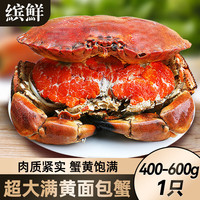 缤鲜 超大面包蟹母帝王蟹鲜活熟冻大螃蟹海蟹新鲜海鲜水产黄金蟹珍宝蟹