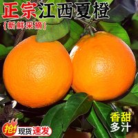 移动端：探味君 正宗赣南脐橙10斤 果冻橙冰糖甜橙