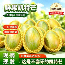 火鸡生活 新鲜现摘攀枝花凯特芒皮薄肉厚应季水果芒果大果现摘4.5kg