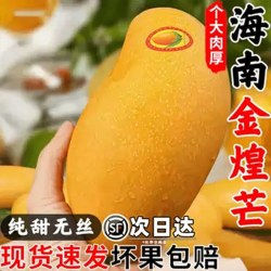 小黄鲜果 海南金煌芒果10斤一级芒果整箱水果当季现摘新鲜青甜心黄皮芒包邮