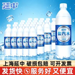 延中 碳酸饮料 低能量 咸味