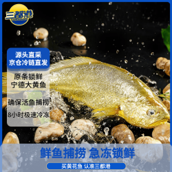 三都港 深海有机宁德大黄花鱼500g 海鲜水产 生鲜 海鲜礼盒