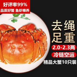 湖鲜阳澄 大闸蟹 去绳足重 2.2-2.5两 8只 鲜活六月黄超大螃蟹海鲜礼盒装