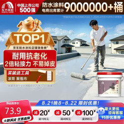东方雨虹 雨虹防水可外露水性防水涂料 5kg
