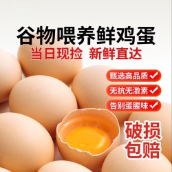 普野 农家散养正宗山林谷物土鸡蛋30枚新鲜现发柴鸡蛋无激素慢养不催产鸡蛋