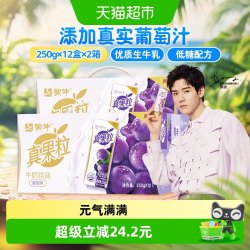 蒙牛 葡萄牛奶饮品