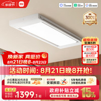 米家 自动升降 电动晾衣架