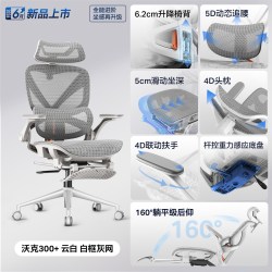 永艺 沃克300+ 人体工学椅