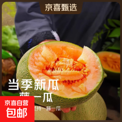 京喜 海南哈密瓜正宗新鲜水果西周晓蜜净重2.5-3斤（1-2个）