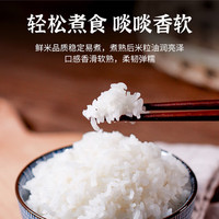 绿宝贡 20斤当季新米软香丝苗米大米猫牙米籼米1斤5斤10斤 绿宝贡猫牙米5斤（真空包装）