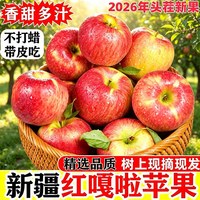 阿克苏苹果 新疆阿克苏嘎啦苹果 早熟酸甜脆丑苹果当季应季新鲜时令水果整箱｜京东快递 更快更好