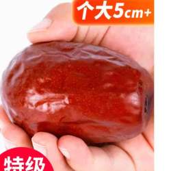 鲜闻果 和田大枣特级新疆红枣2025正宗若羌灰枣子免洗泡水喝回购新鲜枸杞