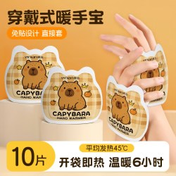壹念 德国自发热暖手宝手握式暖宝宝2026学生专用神器儿童一次性暖手贴