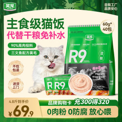 笑宠 R9猫湿粮主食猫饭全价主食湿粮餐包猫粮主食罐 三文鱼味60g