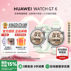华为 手表 WATCH GT 6 41mm血氧呼吸监测长续航运动手表薄荷青 41mm氟胶表带