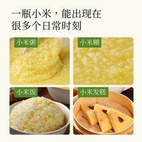 小菜园 有机黄小米 465g*2瓶 谷物杂粮