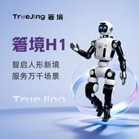 箸境（TrueJing）H1人形机器人 具身智能机器人