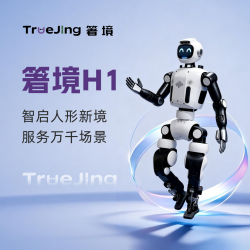 箸境（TrueJing）H1人形机器人 具身智能机器人